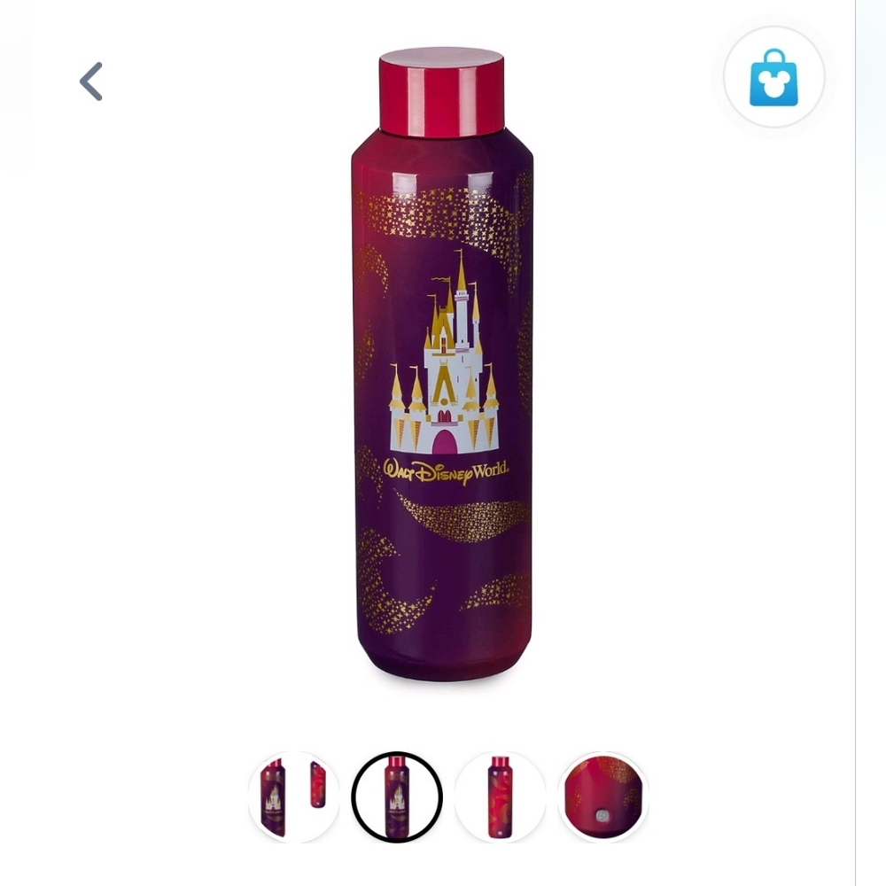 NWT Starbucks Walt Disney World Red/Purple Stainless Steel Water Bottle 20oz